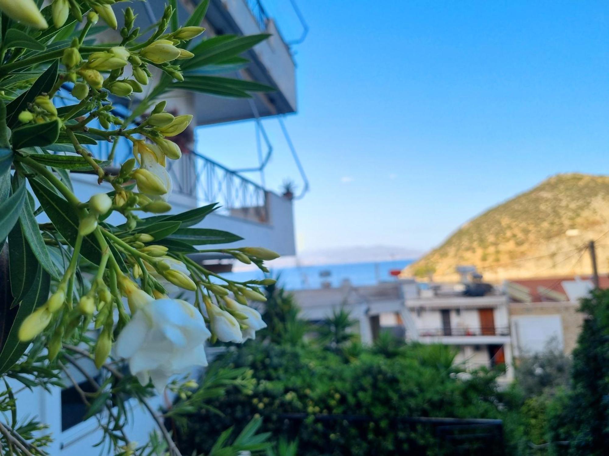 Apartmán Tolo At Sea - Nova Exteriér fotografie
